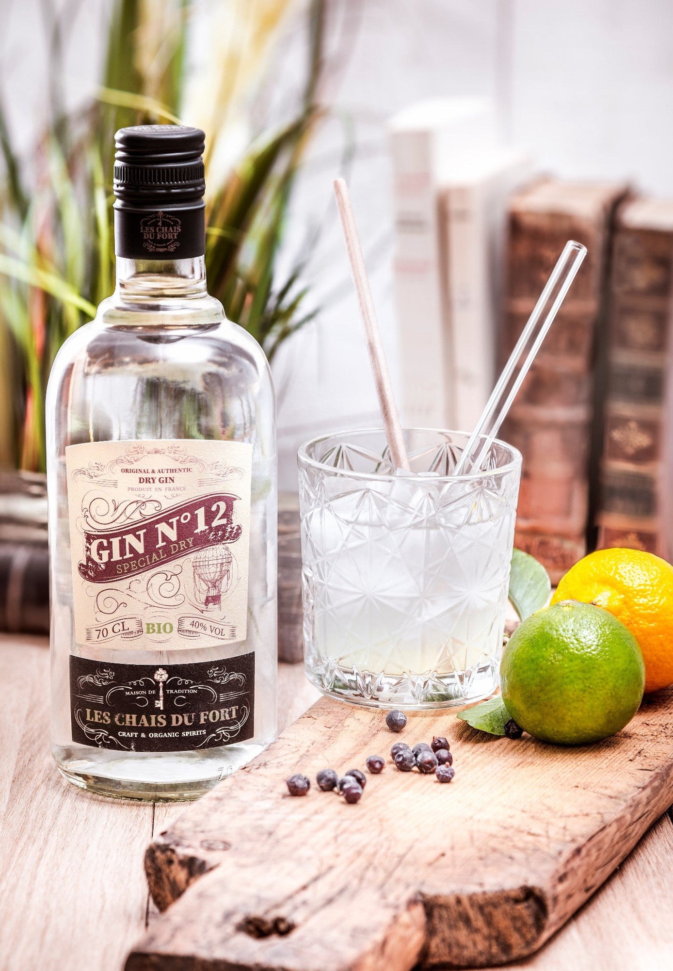 GIN N°12 BIO - LES CHAIS DU FORT