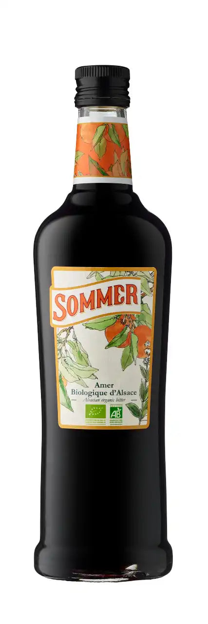 AMER SOMMER - BIO
